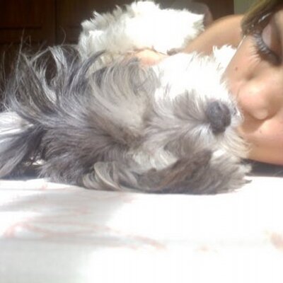 Profile Picture of Pam_baumer (@pam_baumer) on Twitter