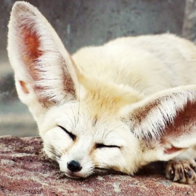 Jonathan Tagg - Twitter Profile Picture of Jonathan Tagg (@JonathanTagg6) on Twitter