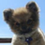 Profile Picture of Jo_Beltran (@Jo_Beltran) on Flickr