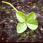 Profile Picture of Jeanne Conway-Edwards (@jeanne18edwards) on Instagram