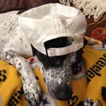 Profile Picture of Bradygibbs (@bradygibbs217) on Instagram