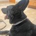 Profile Picture of Christopher Jervis (@christopher.jervis.908) on Facebook