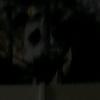 Profile Picture of ANLIU (@anliu__) on Tiktok