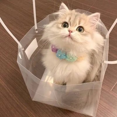 Profile Picture of Myrna Isaac (@MyrnaIsaac) on Twitter