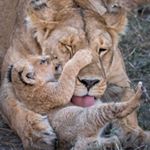 Alejandra Loma - Instagram Profile Picture of Alejandra Loma (@alejandra_loma) on Instagram