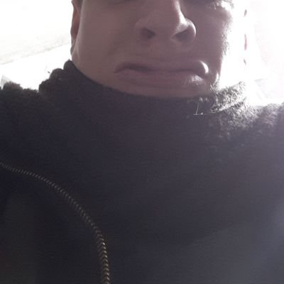 Profile Picture of Fran Levin (@levin_fran) on Twitter