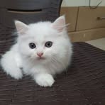 Profile Picture of Kiber Cathy (@Kiber-Cathy) on Facebook