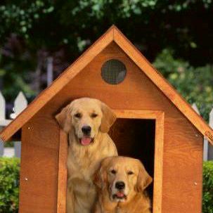 Profile Picture of user4970806452174 (@jeffandson) on Tiktok