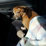 Profile Picture of Chris Pinette (@pinettechris) on Instagram