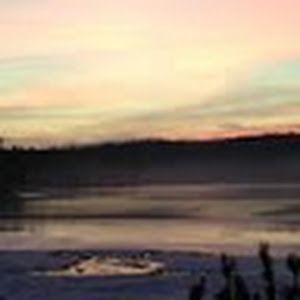 Profile Picture of daniellebolduc633 (@daniellebolduc633) on Tiktok