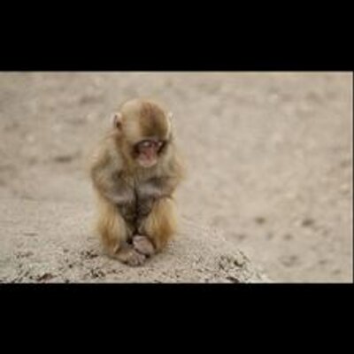 Profile Picture of Ruben Adilson Toledo (@RubenToledo) on Twitter