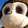 Profile Picture of Daniel Raddatz (@@danraddatz) on Tiktok