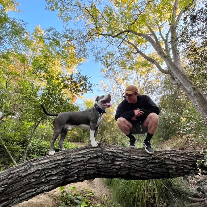 Profile Picture of QuinnJames (@quibbjames) on Tiktok