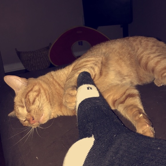 Profile Picture of Lori Marrillia (@lorimarrillia) on Poshmark