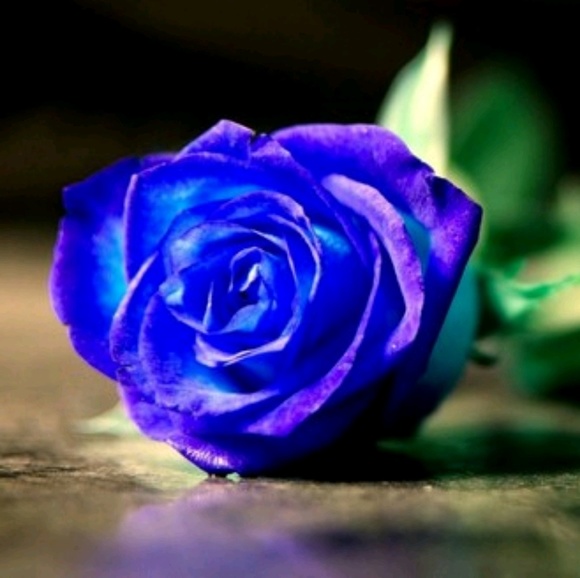 Stephanie Jade - Poshmark Profile Picture of Stephanie Jade (@jordanjadee) on Poshmark