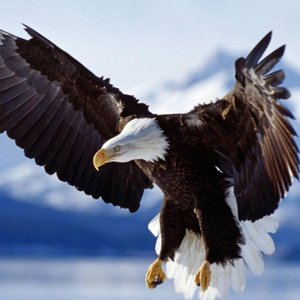 Profile Picture of John Orihuela (@johnorihuela) on Myspace