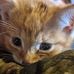 Profile Picture of Kaleb Purvis (@kaleb.purvis.3701) on Facebook