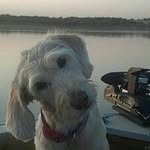 Profile Picture of Daniel Helgeson (@danielhelgeson) on Instagram