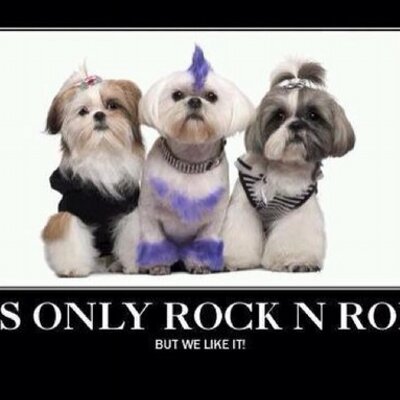 Profile Picture of Cherri Huff (@SherriBracke) on Twitter
