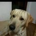Profile Picture of Gusdal (@gusdal.gusdal.3) on Facebook
