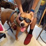 Profile Picture of Nicholas Cordero (@nicholasc_dgaf) on Instagram