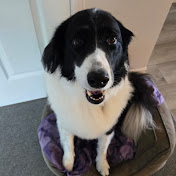 Profile Picture of Nancy Alley (@NancyCanadian) on Youtube