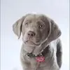 Profile Picture of michaelscholl19 (@michaelscholl19) on Tiktok