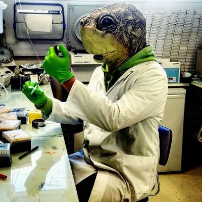 Profile Picture of Andrew Oldfield (@serialChIPer) on Twitter
