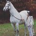 Profile Picture of Devin Reid (@devinalex) on Pinterest