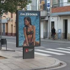 Carlos - Twitter Profile Picture of Carlos (@Carlos_M_Pons) on Twitter