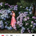 Profile Picture of Teresa Bean (@beanter) on Instagram
