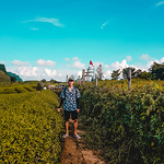 Profile Picture of phi van cong (@phivancong) on Flickr