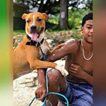 Profile Picture of Stephan Morgan (@ti_wawo) on Instagram