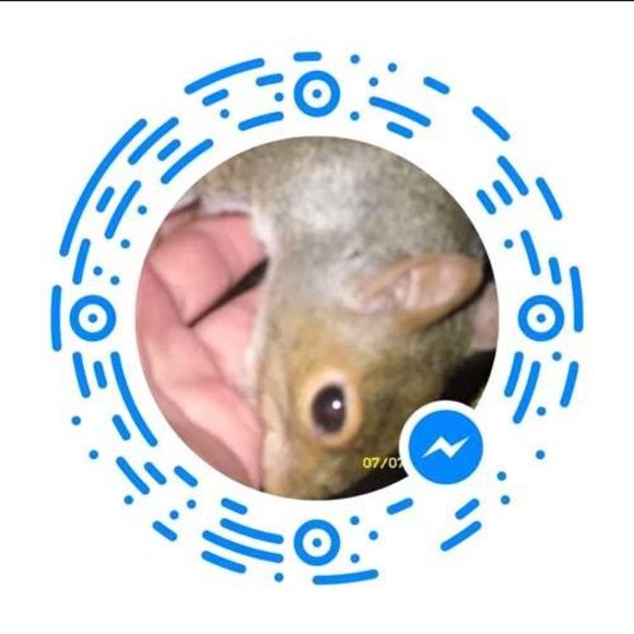 Profile Picture of Alice Crusenberry (@acrusenberry) on Poshmark