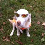 Profile Picture of Chad Caves (@chad.caves.3) on Facebook