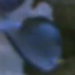 Profile Picture of Tang And Tang Likers (@Yo_Hal_its_Tang) on Twitter