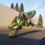 Profile Picture of Ross (@scottysmash) on Instagram