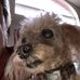 Profile Picture of Pat Cavanagh (@pat.cavanagh.735) on Facebook