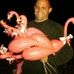 Profile Picture of Kevin O'Donnell (@kevin.odonnell.7140) on Facebook