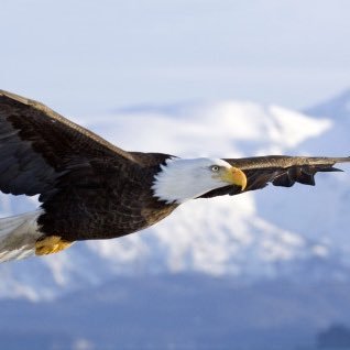 Sheridan McDaniel - Twitter Profile Picture of Sheridan McDaniel (@bishopmc_pfw) on Twitter