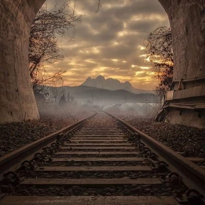 Profile Picture of Brian Daggett (@BrianDaggett2) on Twitter