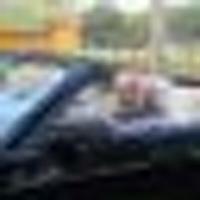 Profile Picture of Mark Schissler Sr (@@SchisslerSr) on Twitter