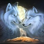 Profile Picture of cory tallent (@tallentcoryallen) on Instagram