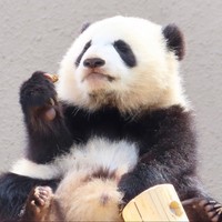 Profile Picture of Wan Lin Chou (@wan-lin-chou) on Quora