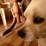 Profile Picture of Alexander Flores Canlla (@alexanderflorescanlla) on Flickr