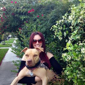 Profile Picture of Amanda Bayer (@amandakbayer) on Pinterest