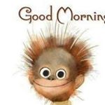 Profile Picture of David of Clan McLain (@davidofclanmclain) on Instagram