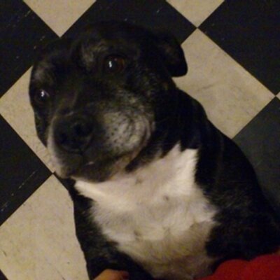 Profile Picture of Carl Hadley (@ThetwoCarl) on Twitter