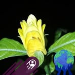 Profile Picture of Noel Rapada (@Noel-Rapada) on Facebook