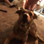 Benjamin Mason - Instagram Profile Picture of Benjamin Mason (@benjamin.mason.1029) on Instagram